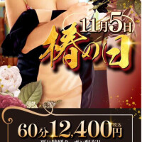 椿の日‼️お得！そしてクーポンも！