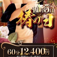 今日は椿の日ですよん🌺