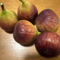 イチジクLOVE❣️