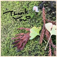 今日もありがとう