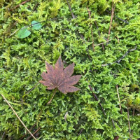 おやすみをいただきました