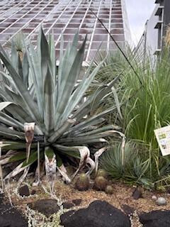 ゆりこの植物天国✨