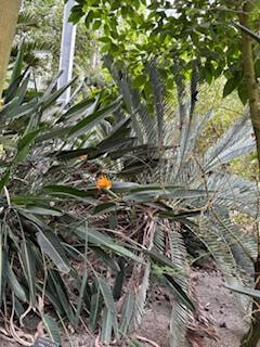 11/14お礼と1日を振り返って❣️