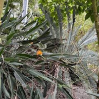 11/14お礼と1日を振り返って❣️