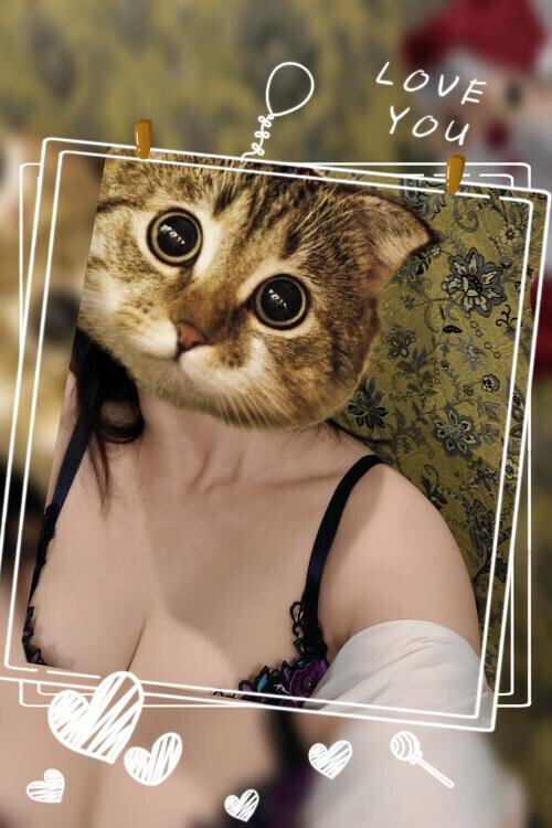 出勤してまぁす🐱✨