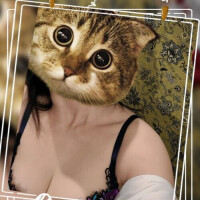 出勤してまぁす🐱✨