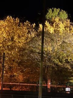 11/19お礼♡Rさま