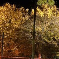 11/19お礼♡Rさま