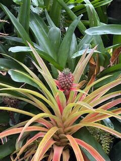 11/19お礼♡Sさま