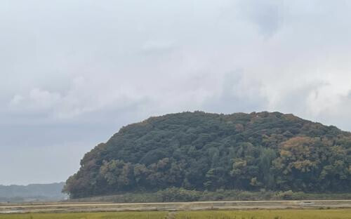 今日は寒いが推し活は熱い❣️