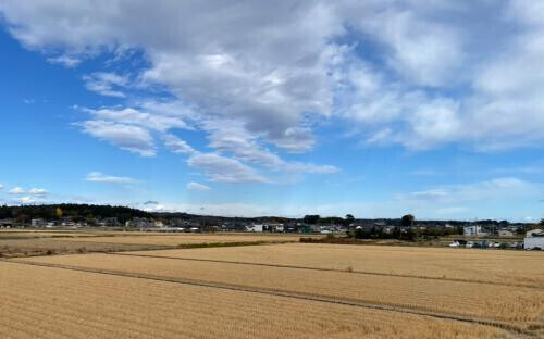 「晴れ」ですね❤️ご予約ありがとうございます