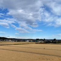 「晴れ」ですね❤️ご予約ありがとうございます