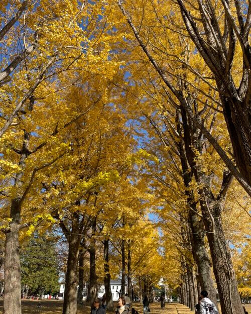 酒門のYさん、時代劇といえば…