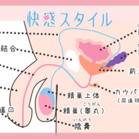 本日のご予約…✨💖有難う御座います🦋💓心から感謝💓