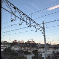 本日はラストまで❣️