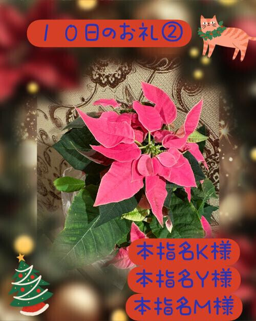 １０日のお礼②