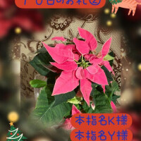 １０日のお礼②