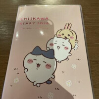 無地ってあたし言ったぜ？