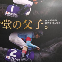 今年最後のTSUBAKIです…🙇💓