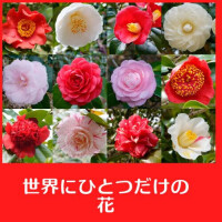 🌈 Thanks for 2025🌈