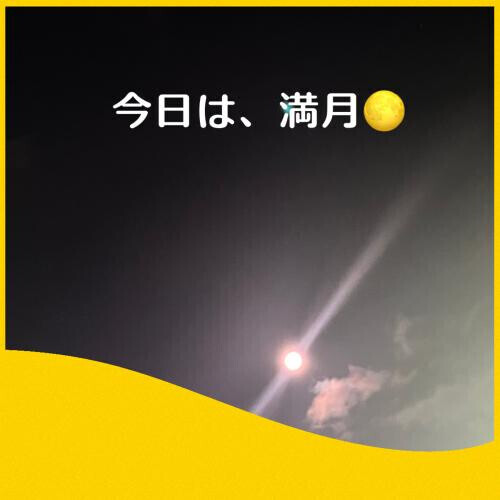 ✨オートロックに…✨