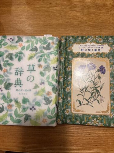 本屋さんで見つけました❣️