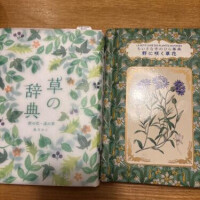 本屋さんで見つけました❣️