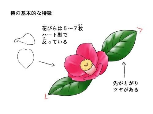 本日の御予約✨誠に有難う御座います🙇💝