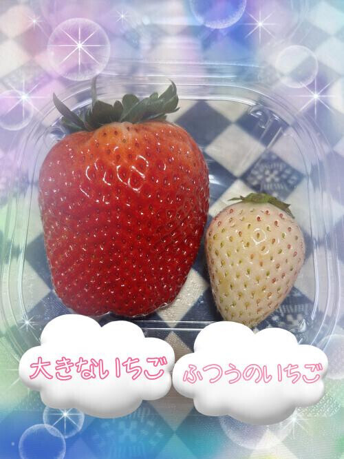 おみやげでいちご🍓もらっちゃいました💕