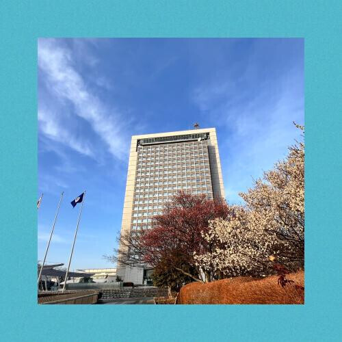 🏙️県庁に行ってみた🏙️