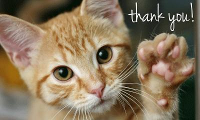 昨日のお礼です💛💚💜