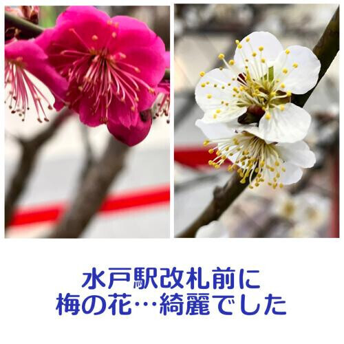 🍀写メ日記をみていただいてた皆様へ🍀