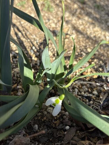 春はそこまで来てますね❣️