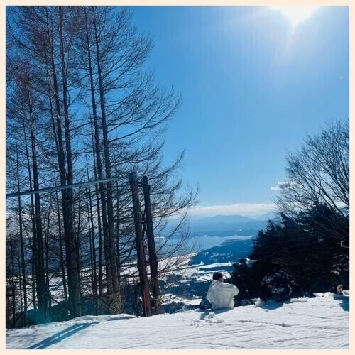 今日からツバキモード再突入