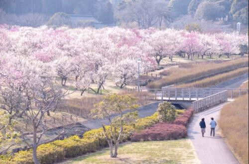 珈琲様、F様、ご予約ありがとうございます