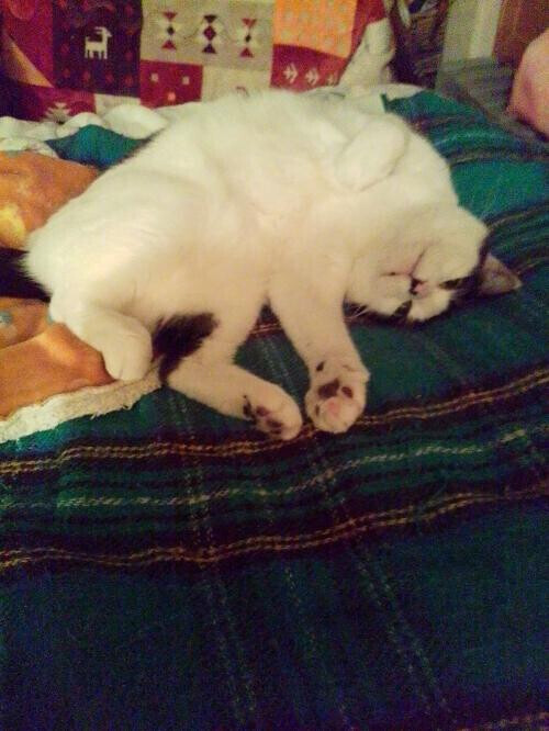 🙂‍↕️お疲れ様でした🙂‍↕️