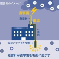 オーソドックスday…🙇