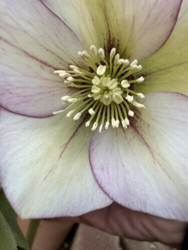 3/14明日について