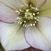 3/14明日について