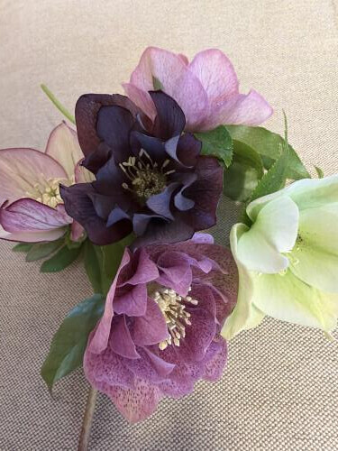 おはようございます