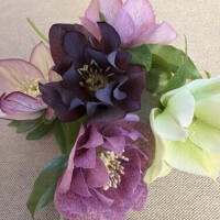 おはようございます