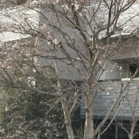 昨日はありがとうございました！