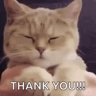 昨日のお礼💛💚💜