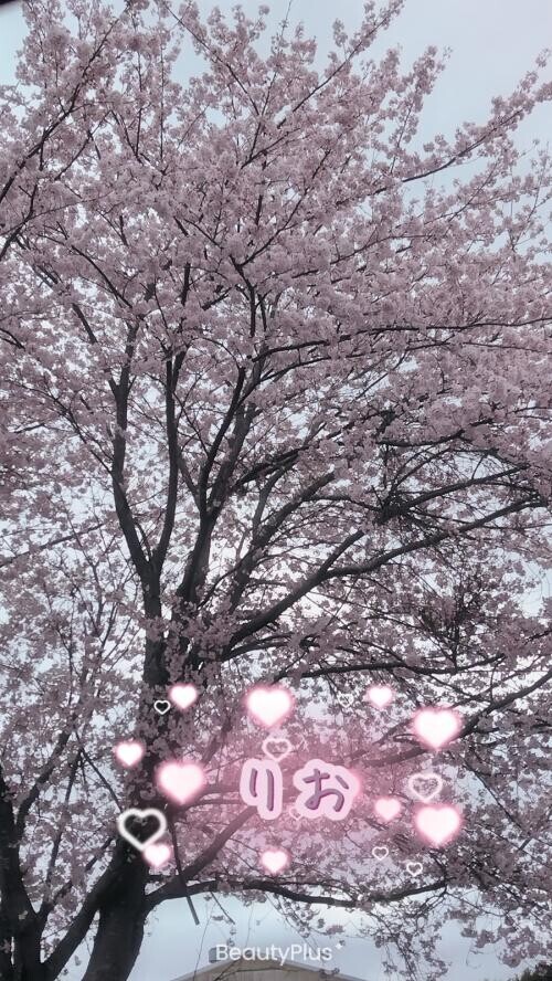 出勤について‥‥文章長くてすみません笑