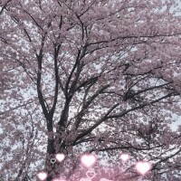 出勤について‥‥文章長くてすみません笑