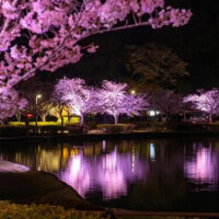 イケオジ美容師