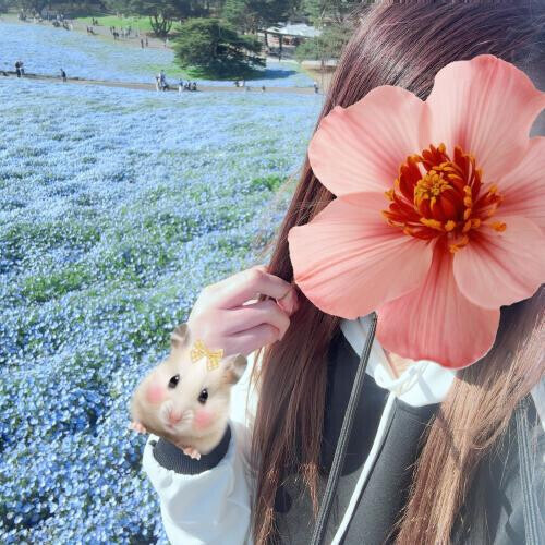 休日の癒し～