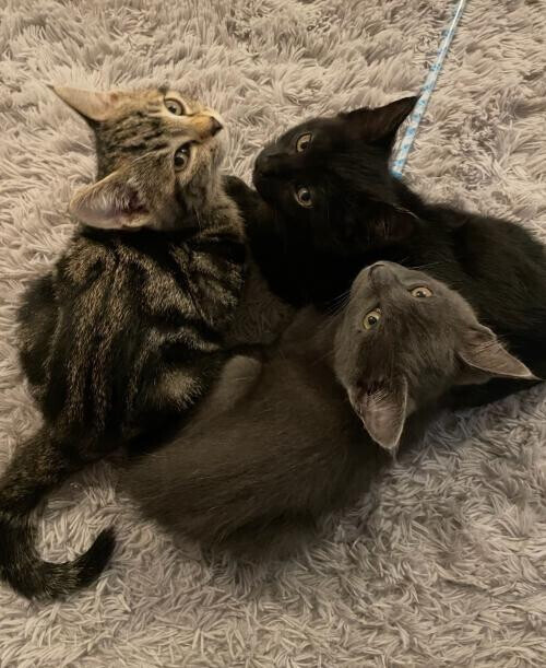 守ります❤️