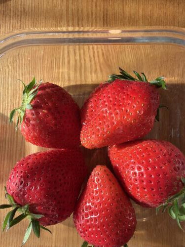 いちごラブ🍓