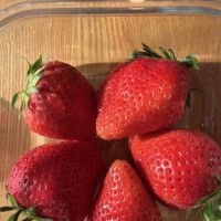 いちごラブ🍓